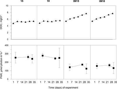 Microbial food web changes induced by terrestrial organic matter and elevated temperature in the coastal northern Baltic Sea